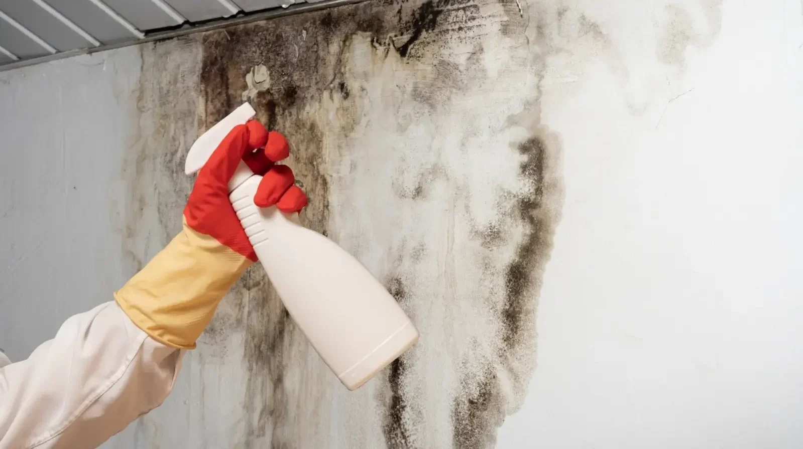 190947589 m normal none 2024 08 08 143903 yqbn