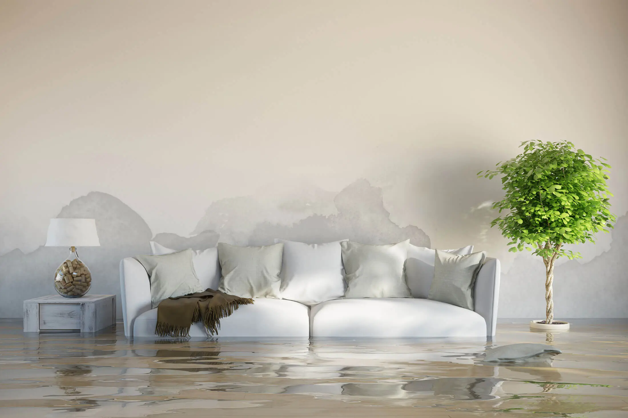 Reassured Restoration flooded inside house water damage 2