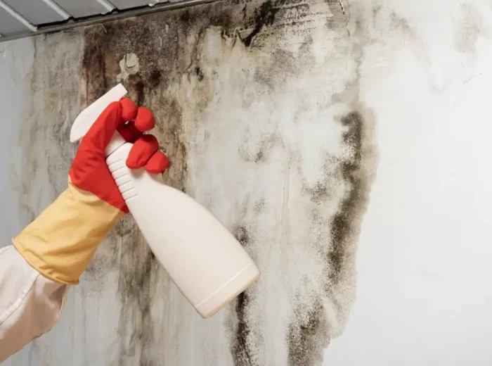 190947589 m normal none 2024 08 08 143903 yqbn